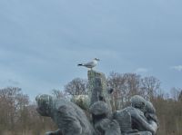 Möve Leidstatue
